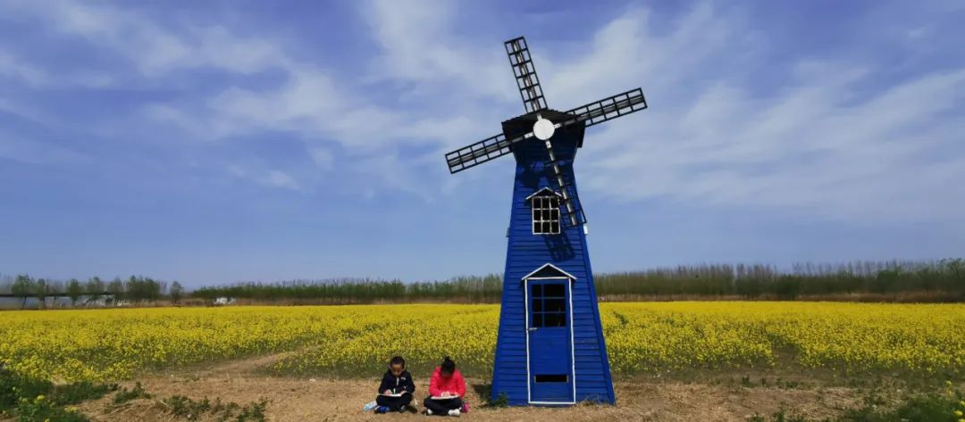 济南3月免费赏花攻略,花都开了济南周边赏花攻略收好