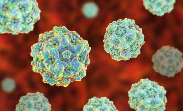 狗狗得细小之后容易得犬瘟么,狗狗得细小有治愈几率吗