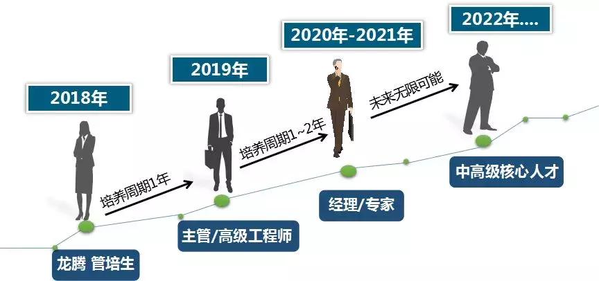 薇美姿销售管培生有坑吗,现在公司为什么都招管培生