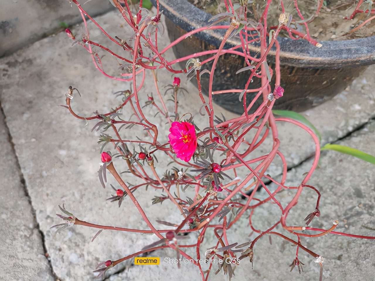 realmeq3s骁龙778,骁龙778g配6000毫安电池的手机