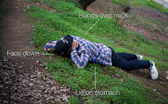 灰熊最好的逃生方法,如果在野外遇到灰熊该怎么办