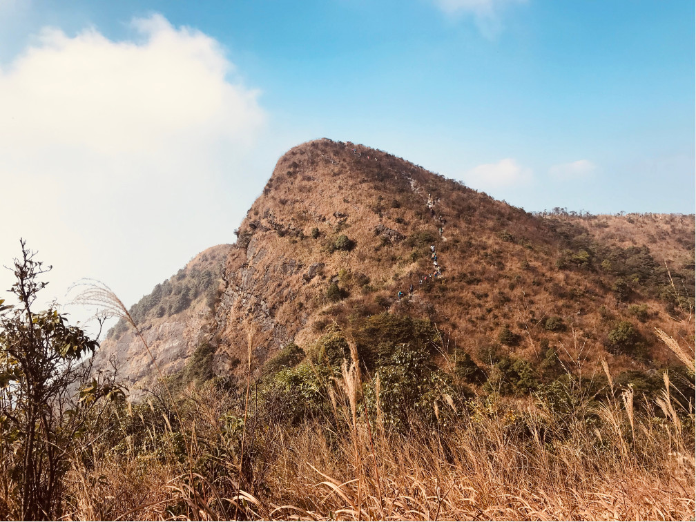 实干是什么意思,实干才是真谛