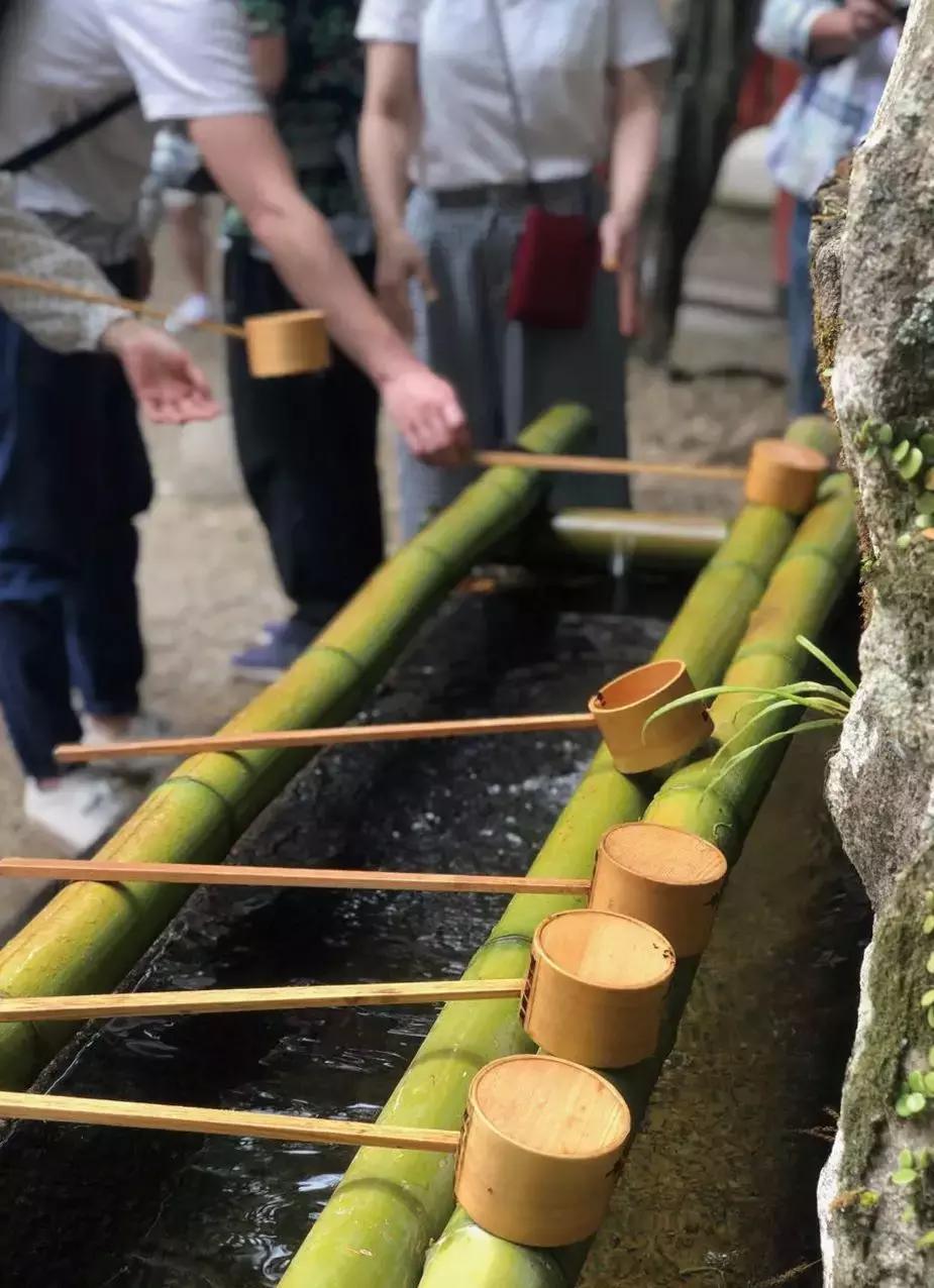 大阪京都奈良自由行怎么乘车,京都奈良旅游详细攻略