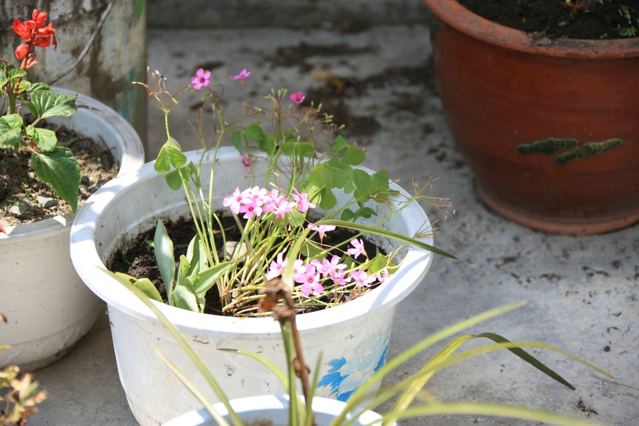 米亚罗-大美理礼县