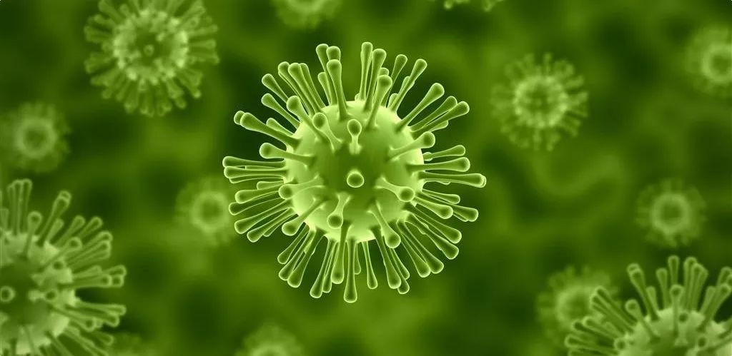 厦门特宝生物科创板最新消息,科创板特宝生物