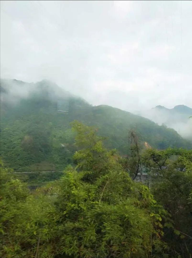 浪花飞歌原版,浪花飞歌视频完整版