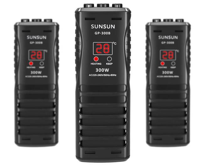 血鹦鹉打架什么时候能恢复,血鹦鹉怎么老是头穿孔