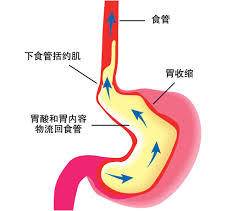 打完球接着吃饭睡觉好不好,打完球再吃晚饭好不好