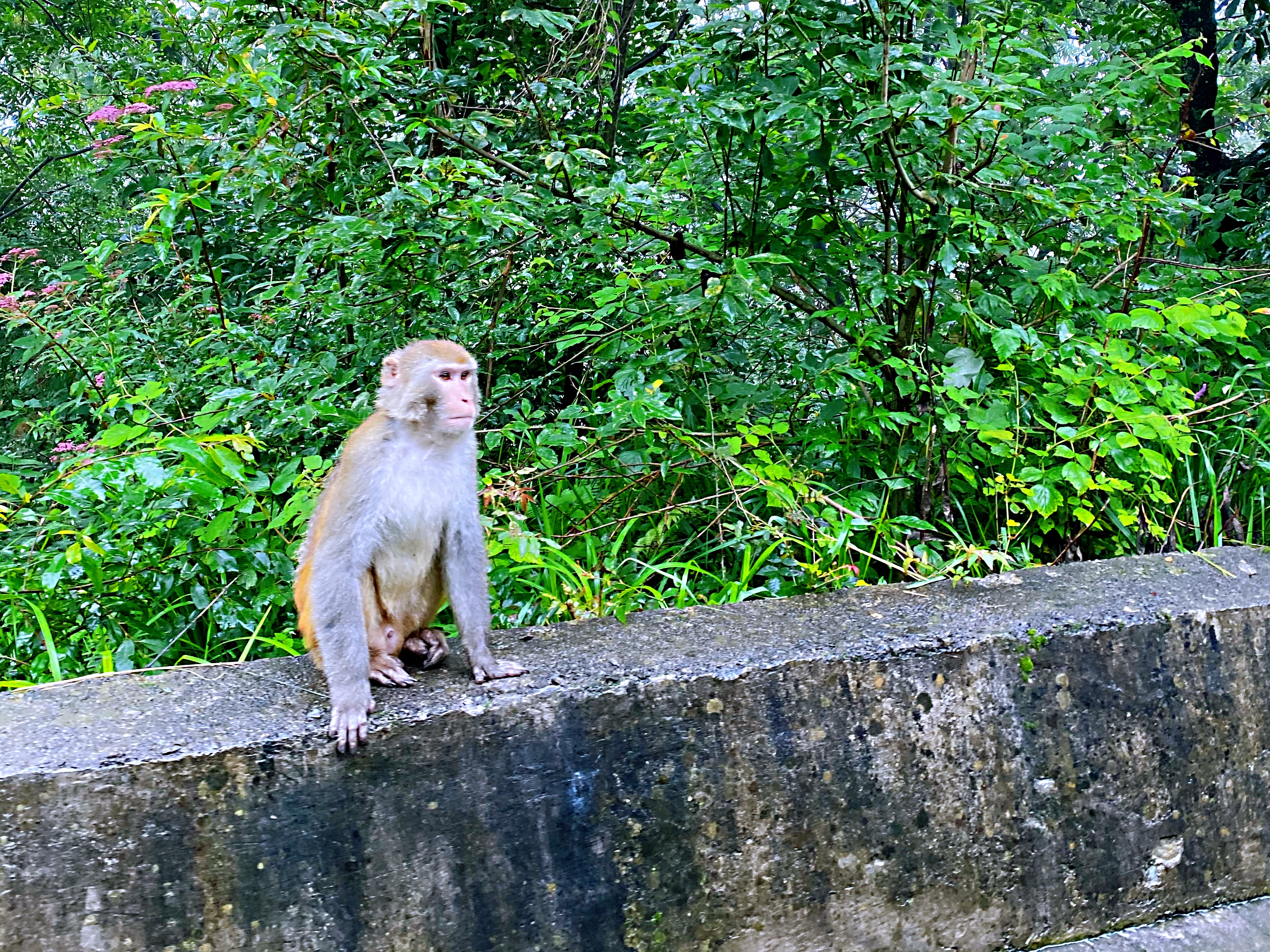 绵阳好玩的地方旅游攻略,推荐绵阳旅游的地方有哪些