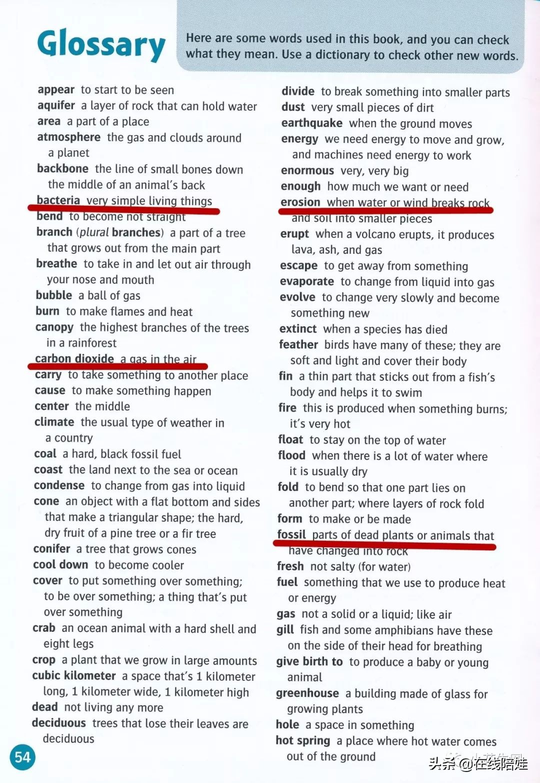 书虫牛津英汉双语读物入门级点读,书虫系列牛津英汉读物介绍