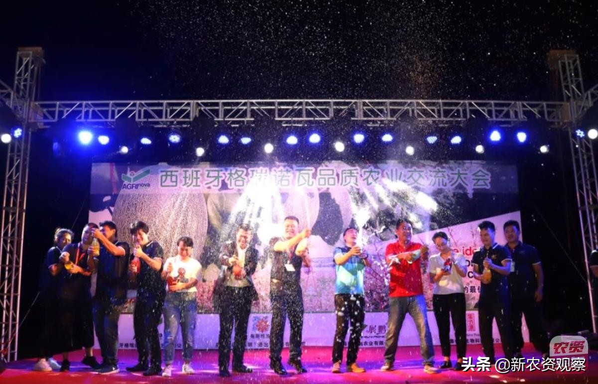 海南反季节芒果催花为何会催出芽,芒果催花后冒浆是花还是芽