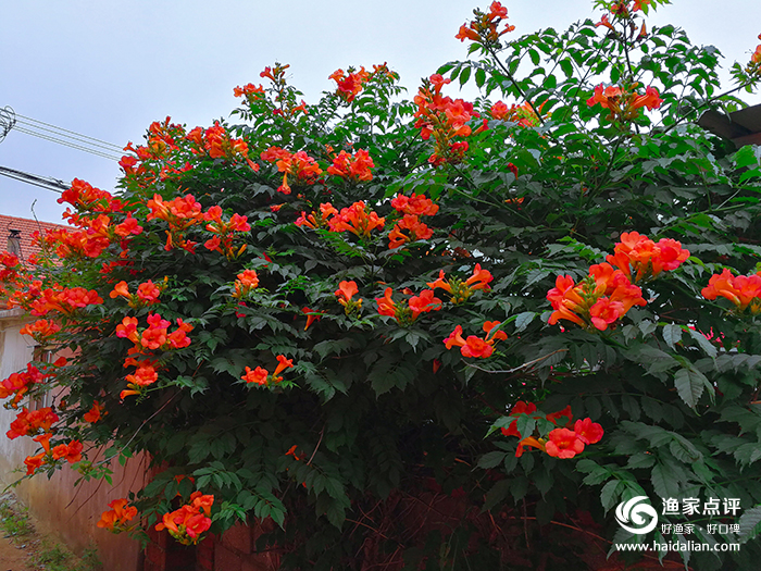 大连哈仙岛旅游攻略方案3天2夜,哈仙岛旅游几月份去最好