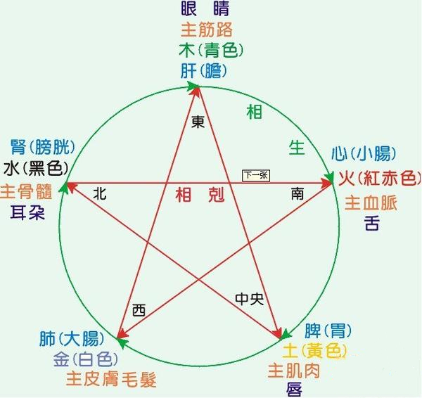 六腑与五脏的关系,人身上有哪五脏和六腑