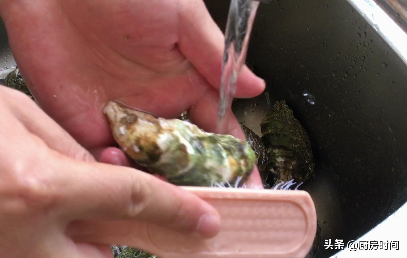 正确打开吃生蚝的方法,生蚝怎么打开得快又简单又方便