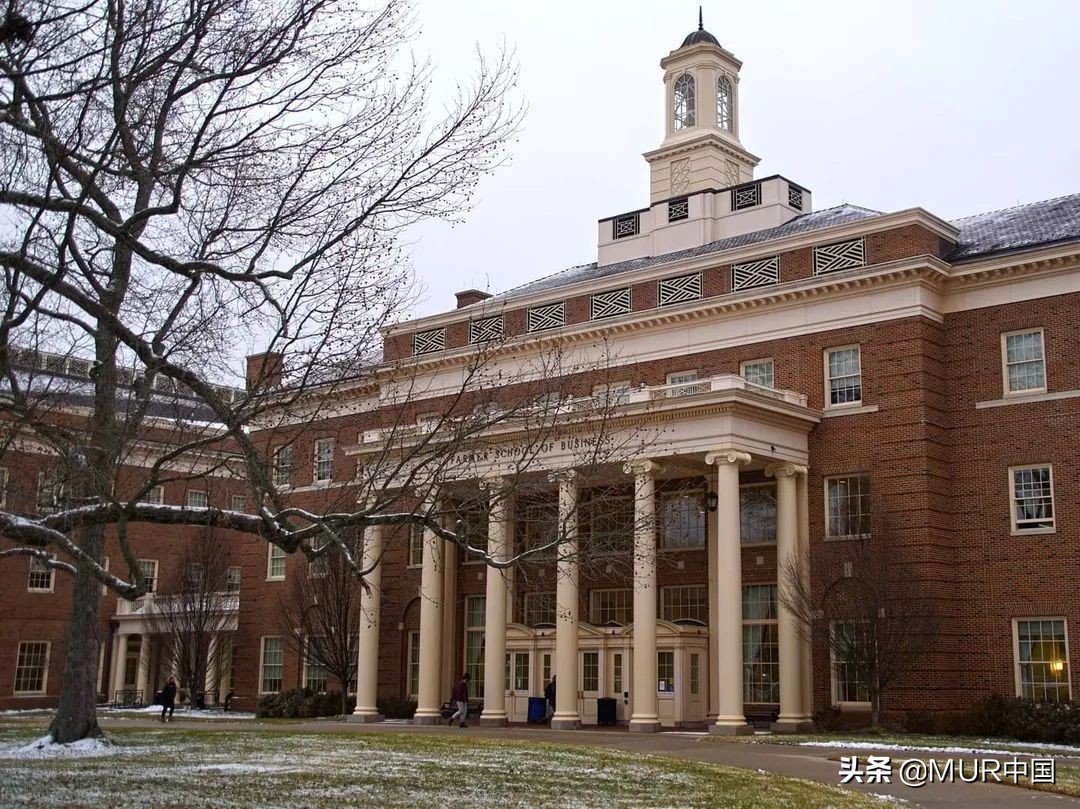 全球四大会计师事务所之一的普华永道，缘何如此钟情迈大学子？