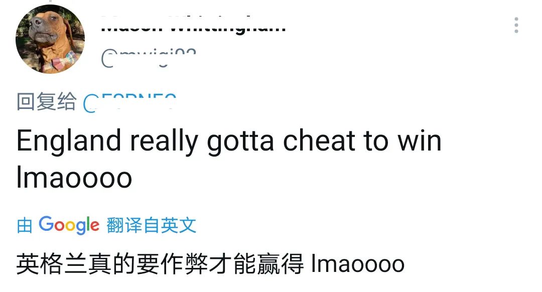 欧洲足球流氓,欧洲杯英国足球流氓