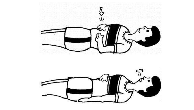 白发是肾阳虚,白发变多和肾有关系吗