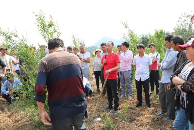 贵州省福润集团有限公司,贵州福润农资