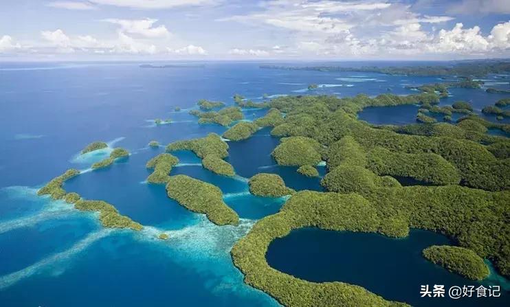 蝙蝠要怎么吃才好吃,蝙蝠该吃什么