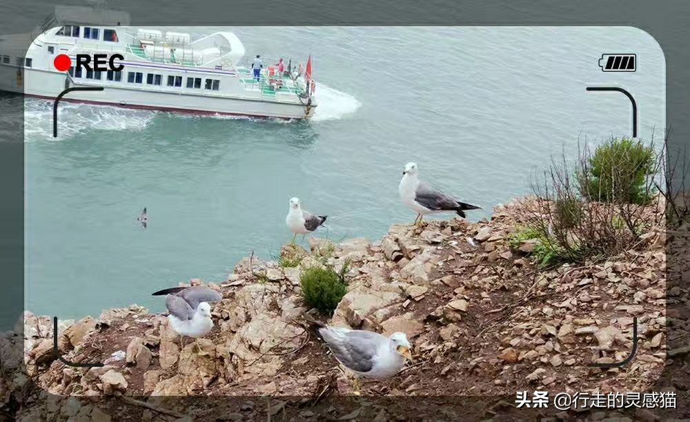 山东威海海驴岛攻略,山东海驴岛旅游攻略