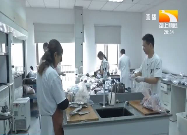 食品检验舌尖上的安全,舌尖上的食品安全检测