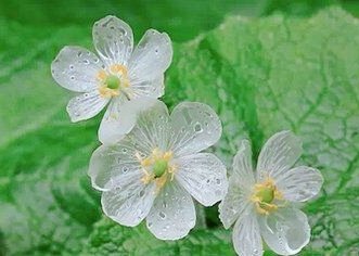 20岁才恍然大悟要自己爱自己,二十岁应该要学会爱自己