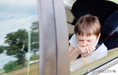 猫咪晕车怎么办，6大妙招轻松搞定，猫咪：舒服了