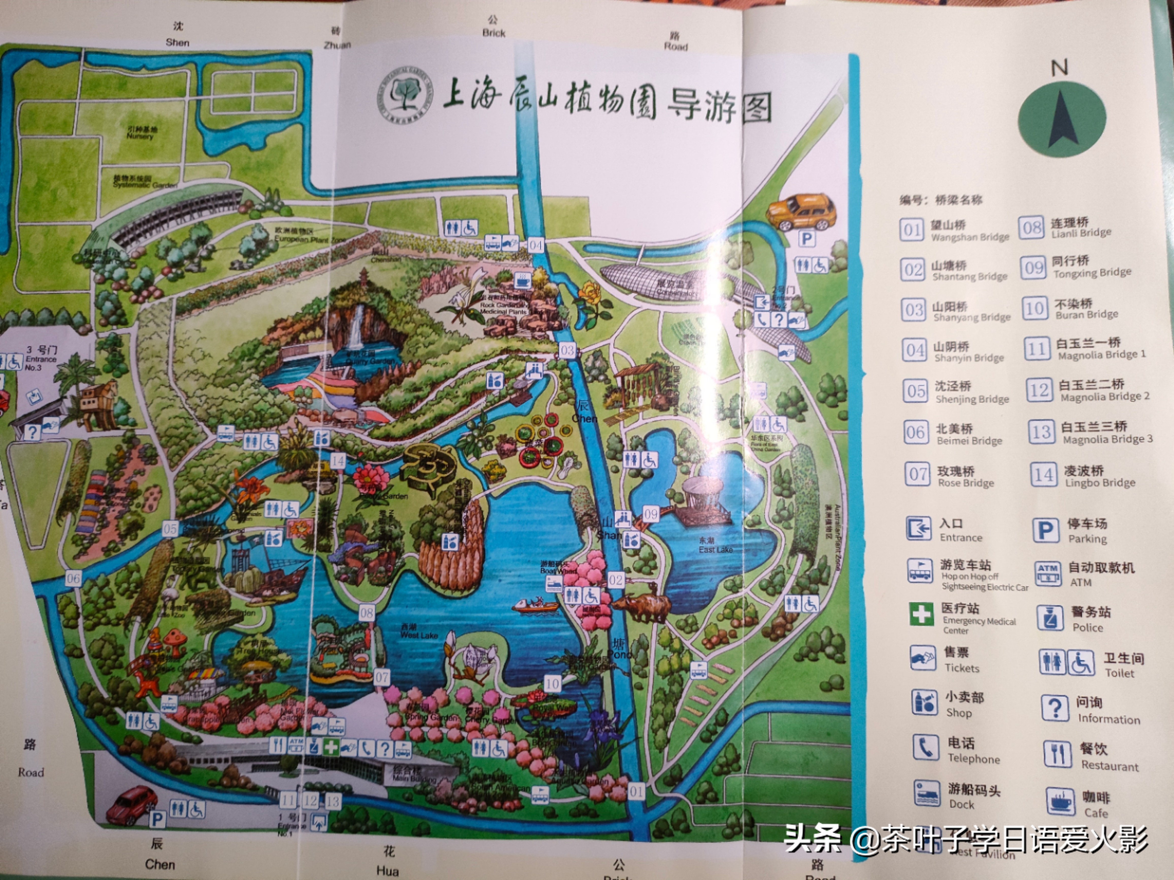 春天踏青适合去哪里玩,春天去上海辰山植物园攻略