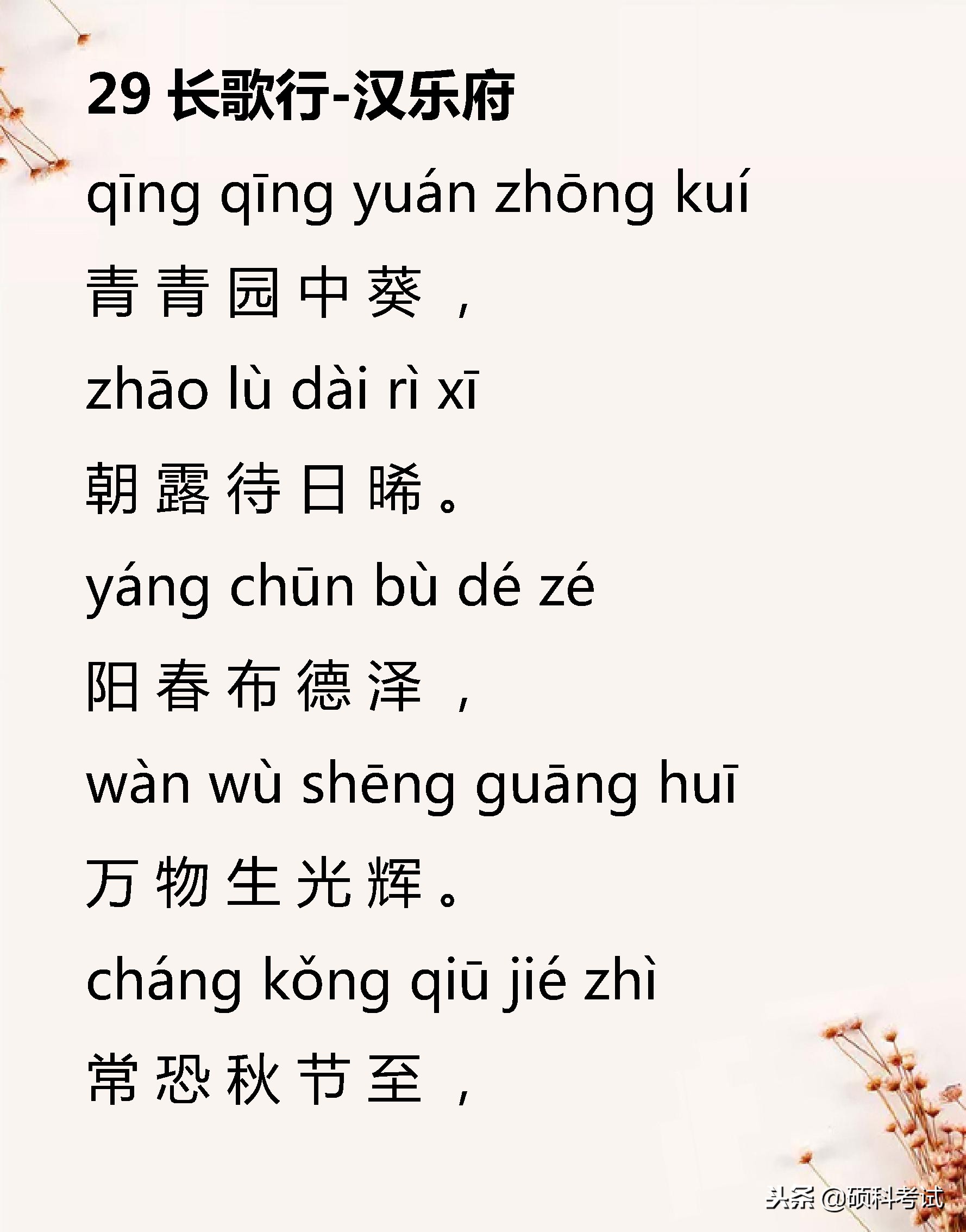 小学语文必背古诗词129,小学语文必背古诗词75首加赏析