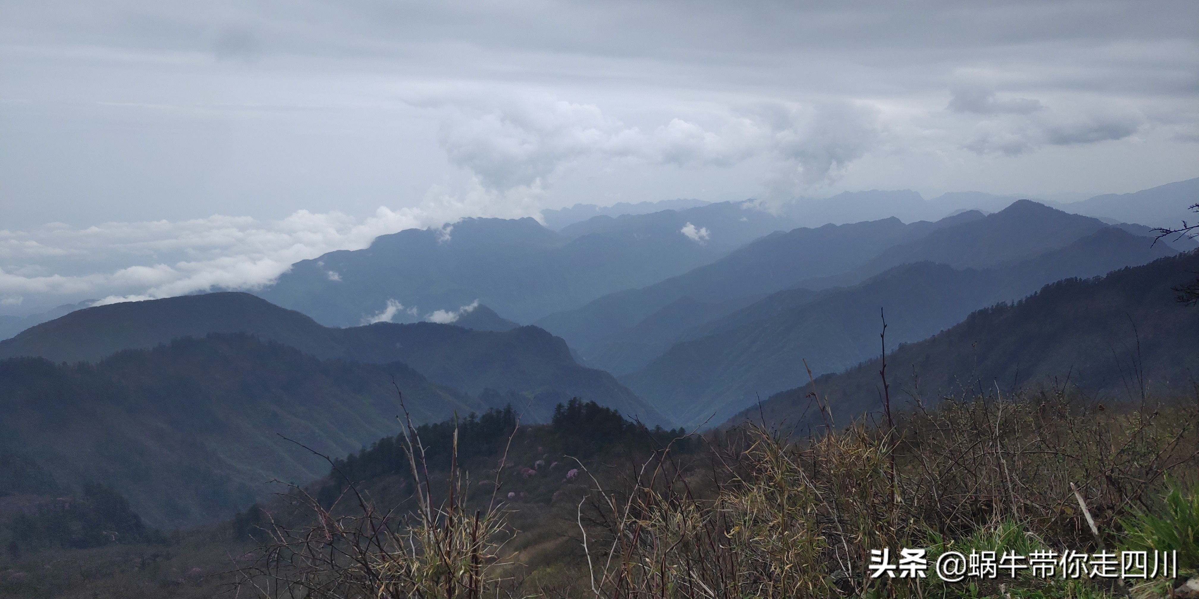 成都去西岭雪山两天一夜旅游团,成都出发雪山旅游