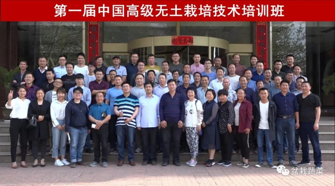 无土栽培和土壤种植技术研究所,农业无土栽培技术培训