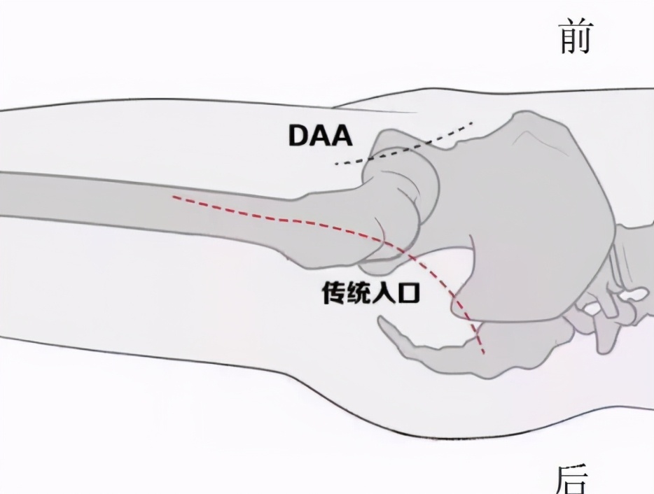 上海长征医院王波医生介绍,上海长征医院王波简介