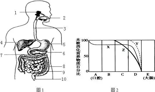初中生物七年级下册知识点讲解,初一下册生物重点复习初中生学习