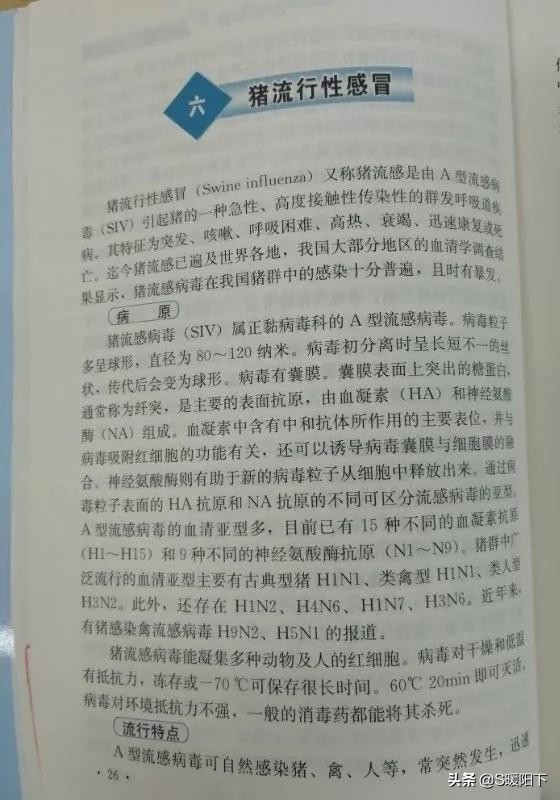 让大家见识一下钢铁直男,让你见识一下什么叫钢铁直男