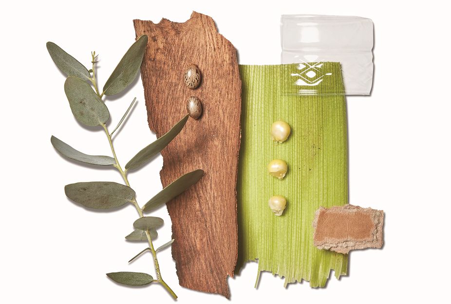 奥巴马谈小李子,奥巴马和库克