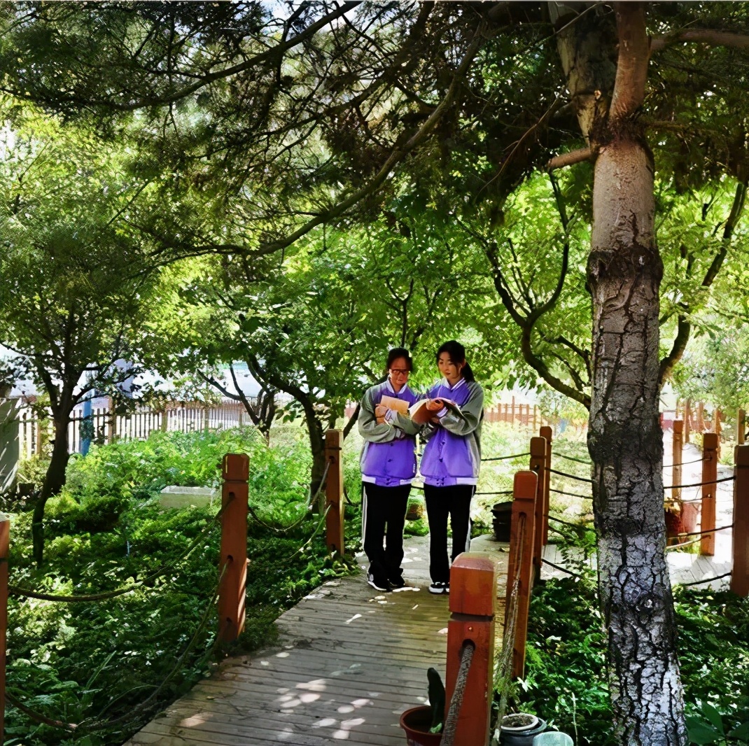 北京所有小学排名一览表,北京30所小学排名一览表