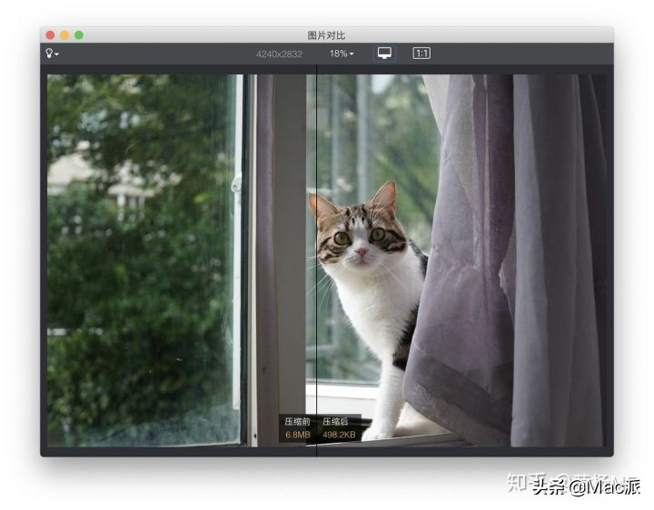 mac如何装2个不同版本软件,macpro必装的10款软件