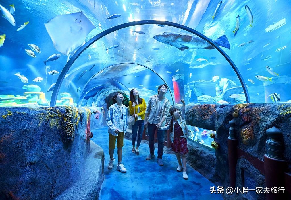 最大的北京海洋博物馆,海上故宫国家海洋博物馆