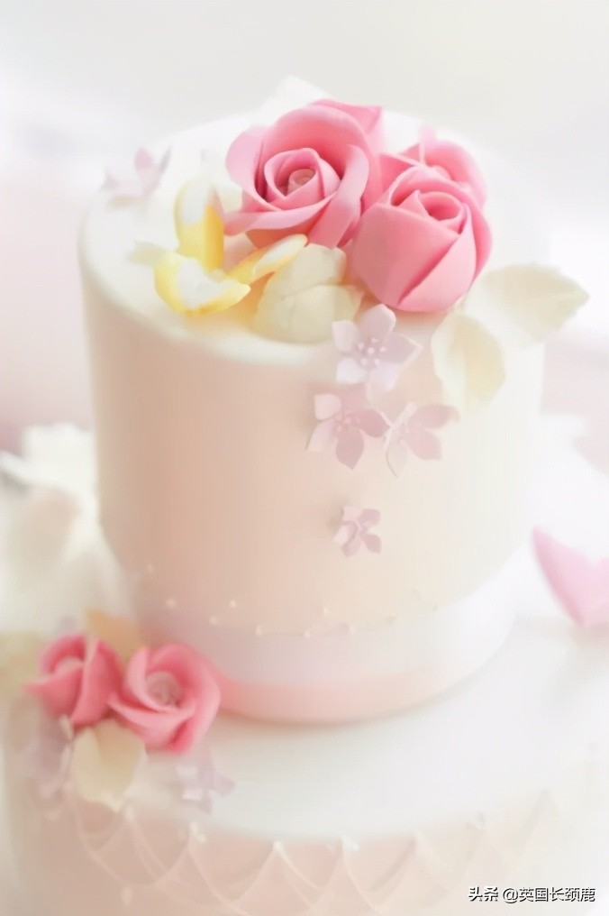 520/521：五月阳光下，伦敦依然盛放。记得常回来看看