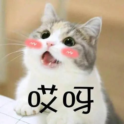 总有一款手链适合你,手链的不同款式