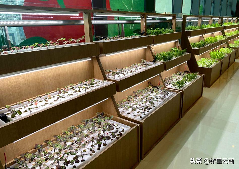 城市微度假商业如何打造,微度假商业综合体