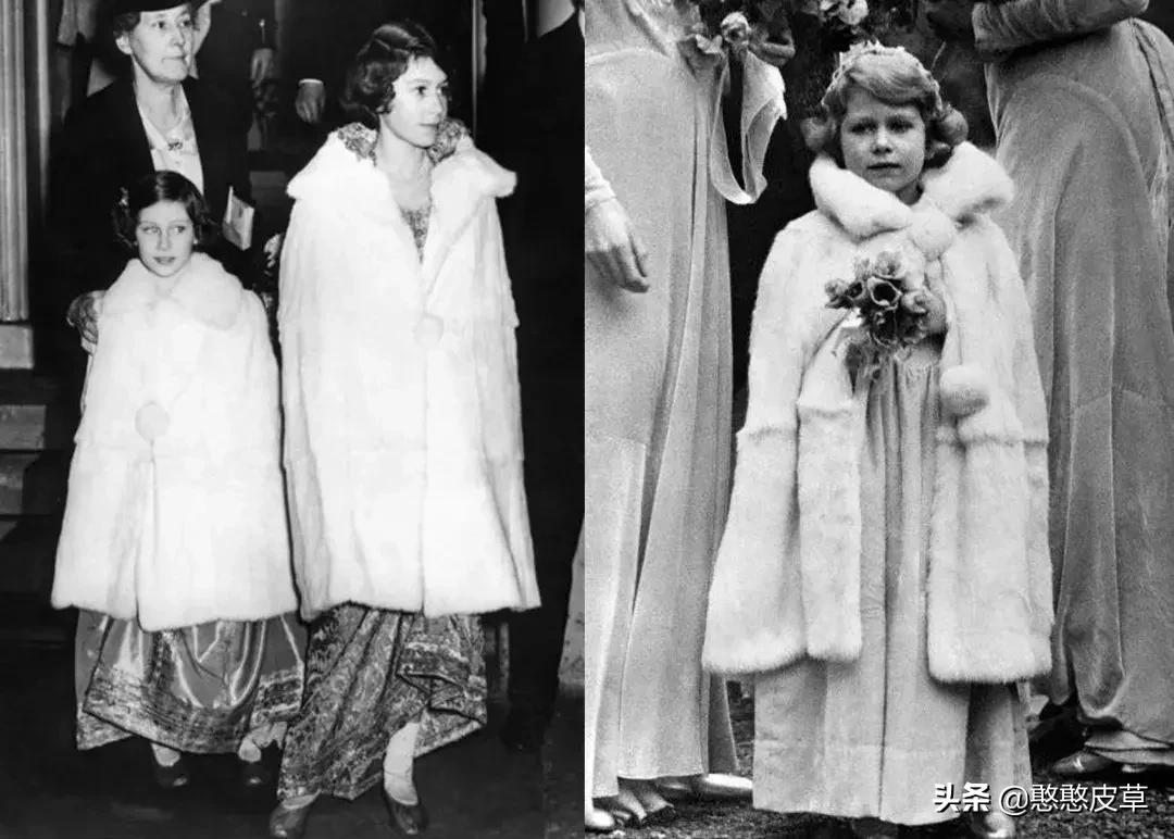 獭兔皮草怎么分辨是真是假,兔毛皮草怎么鉴别真假