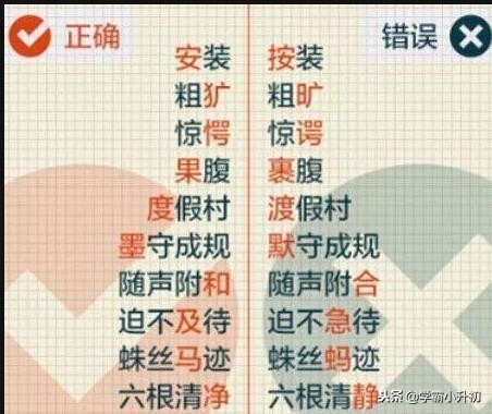 小升初总复习字词专项训练大全,小升初高频易错字归纳大全