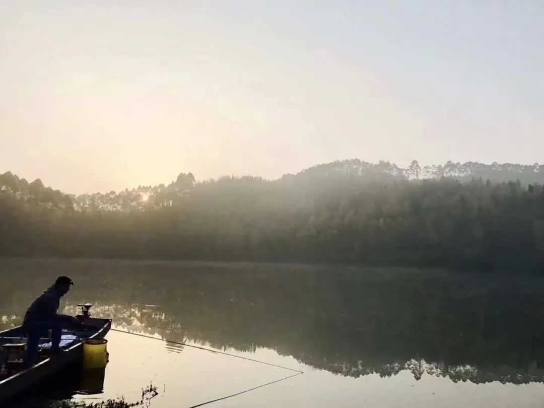 野奢不被鄙视？问问那些爱钓鱼的老孩子们，他们有活蹦乱跳的经验