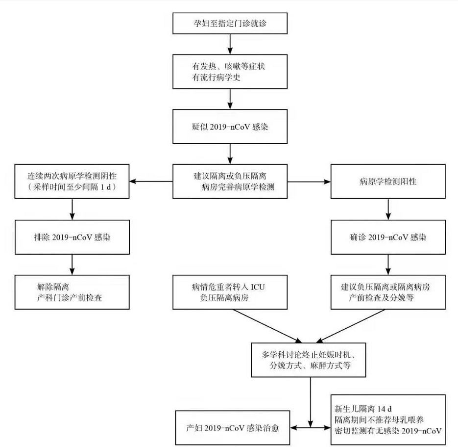 疫情当前，仅出生30小时被感染！何为母婴垂直传播