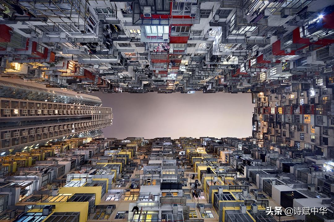 辞赋劲竹赋完整,辞赋书籍