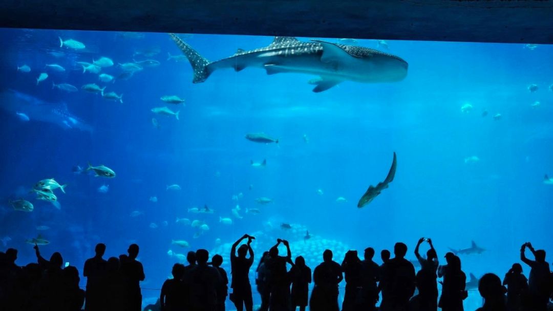 推荐最好玩的乐园,有没有值得玩的地方推荐一下