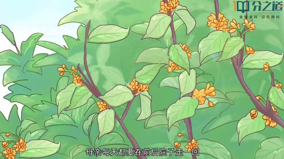 描写夏天的一篇作文5句话,描写夏天的作文诗句