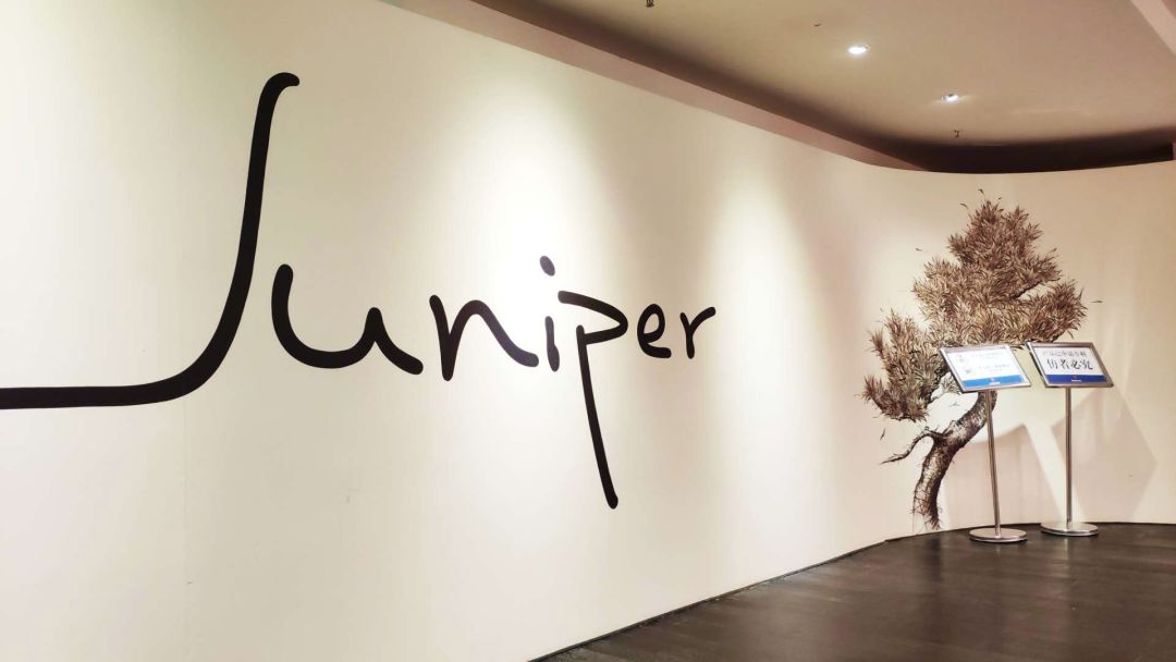 24小时放题,一起去一线品牌的源头工厂选家具,来么?(一)