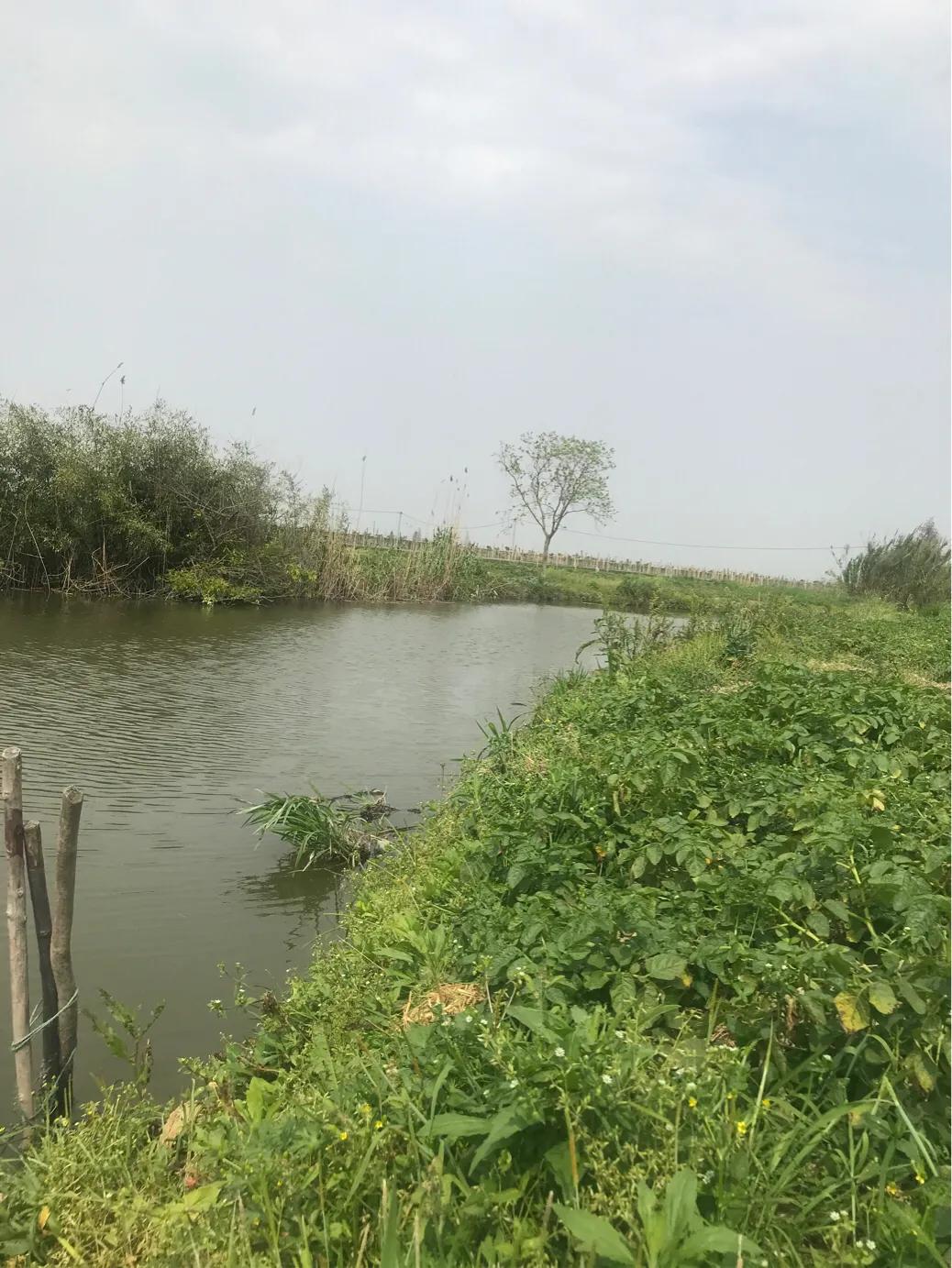 奉化旅游团一日游,奉化乡村一日游最佳景点